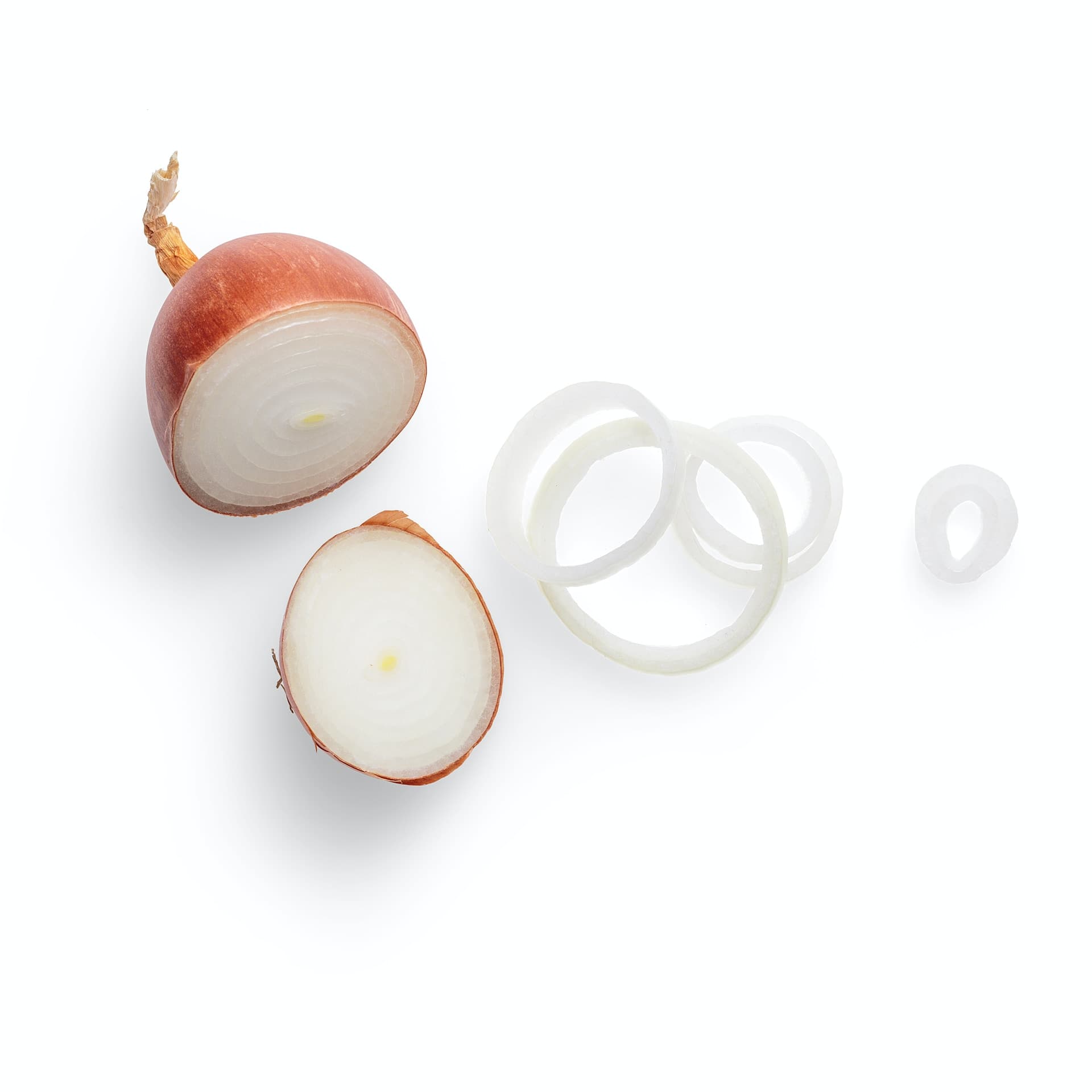 rWsite_image_kristin-red-onion